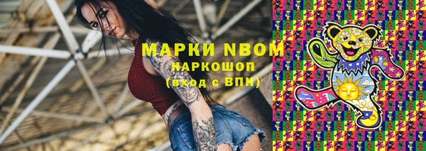 хмурый Медногорск