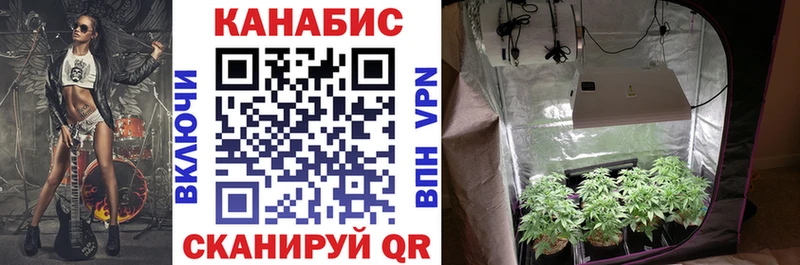Бошки Шишки семена  цены   Динская 